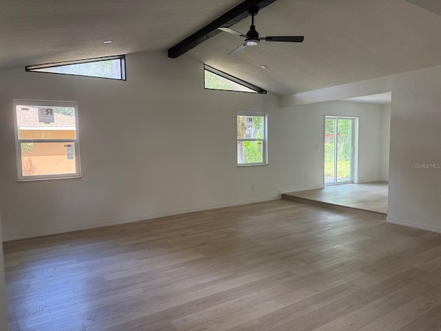 5021 NE 4th St, Ocala, FL 34470 - photo 11