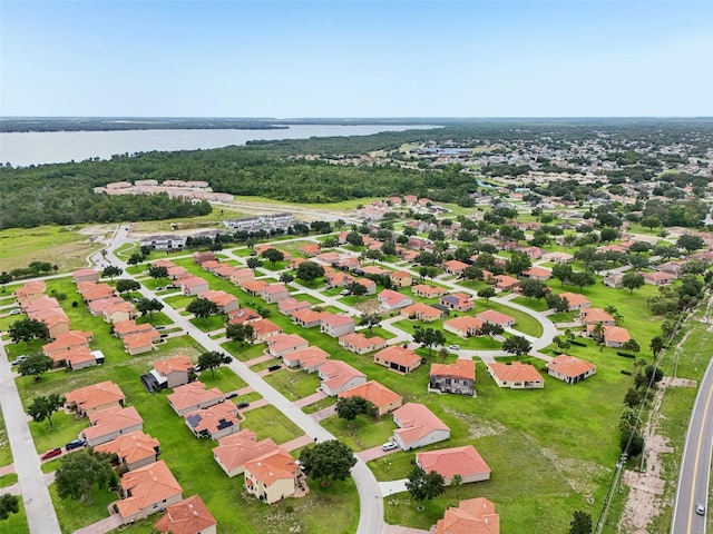 435 Caraway Dr, Kissimmee, FL 34759 - photo 43