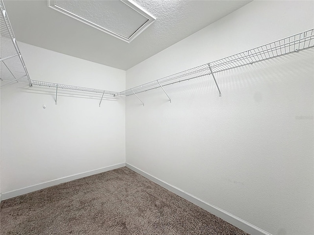 11138 Suspense Dr, Winter Garden, FL 34787 - photo 32