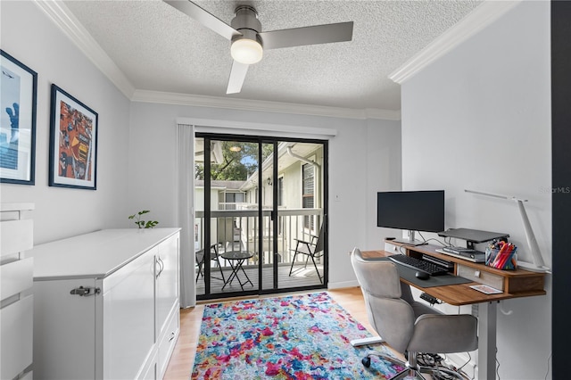 1120 Portland Ave Unit 7, Orlando, FL 32803 - photo 30