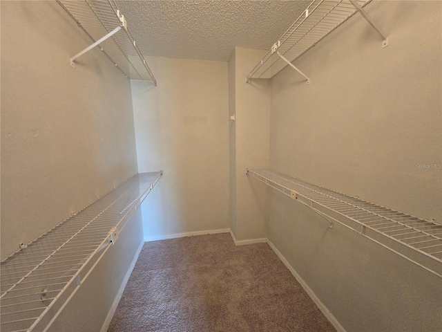 8847 Parliament Ct, Kissimmee, FL 34747 - photo 13