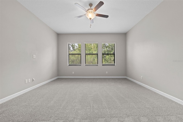 2877 Hillard Dr, Wesley Chapel, FL 33543 - photo 14