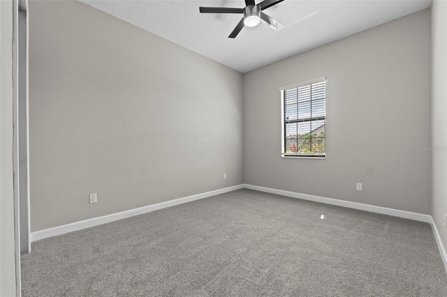 2877 Hillard Dr, Wesley Chapel, FL 33543 - photo 21