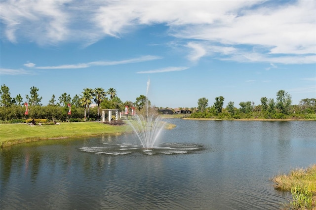 3608 Via Monte Napoleone Dr, Kissimmee, FL 34759 - photo 45