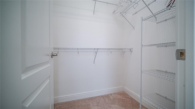 13997 Helsby St, Orlando, FL 32832 - photo 19