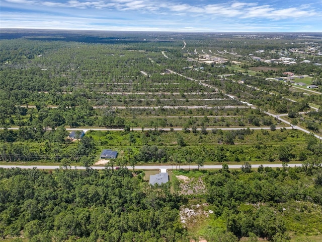 7539 Bernal St, Sebring, FL 33872 - photo 42
