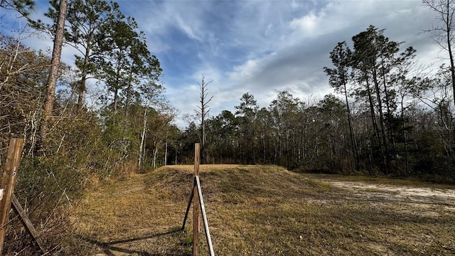 10010 Mcmahon Ave, Hastings, FL 32145 - photo 13