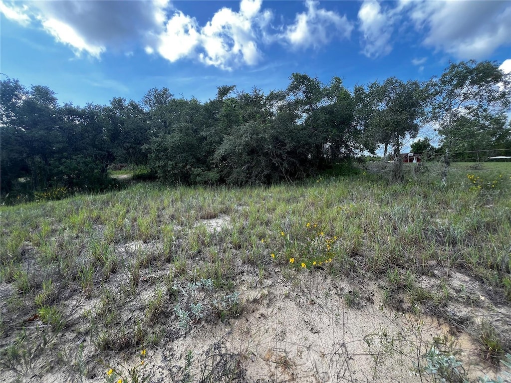 200 Aldo Rd, Babson Park, FL 33827 - photo 3