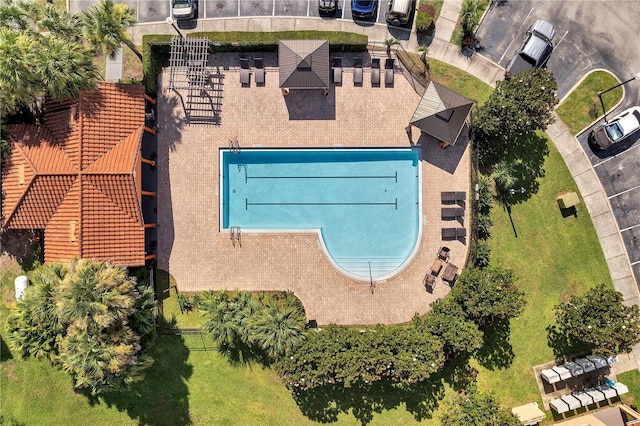 2619 Andros Ln, Kissimmee, FL 34747 - photo 45