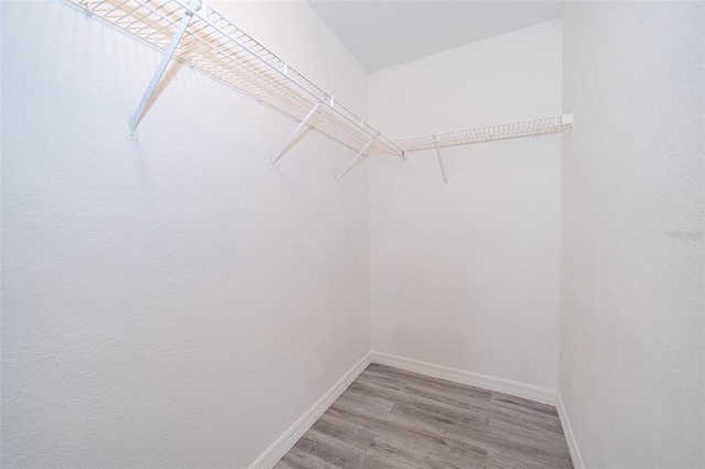 7734 Sugar Bend Dr Unit 7734, Orlando, FL 32819 - photo 14