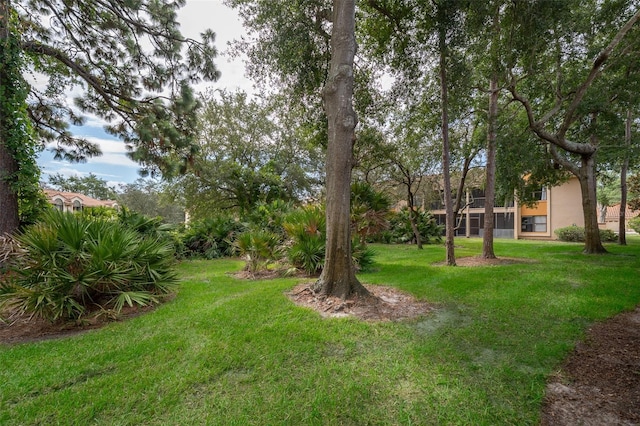 7734 Sugar Bend Dr Unit 7734, Orlando, FL 32819 - photo 25