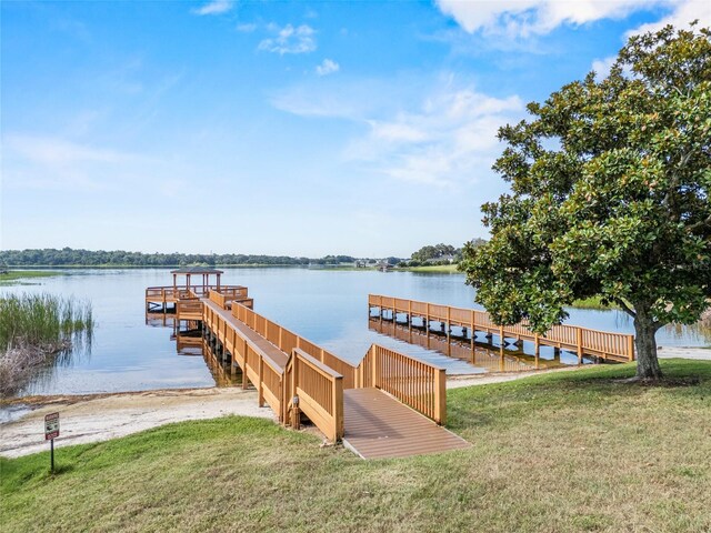 17307 Chateau Pine Way, Clermont, FL 34711 - photo 19