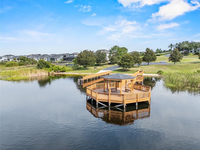 17307 Chateau Pine Way, Clermont, FL 34711 - photo 23