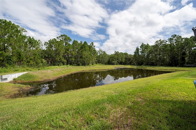355 Lily Ln, Davenport, FL 33837 - photo 26