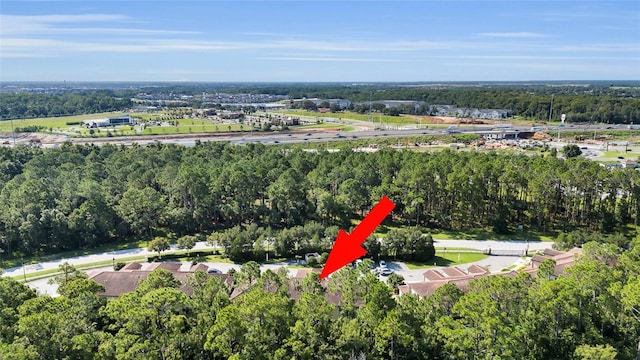 8203 Roseville Blvd, Davenport, FL 33896 - photo 33