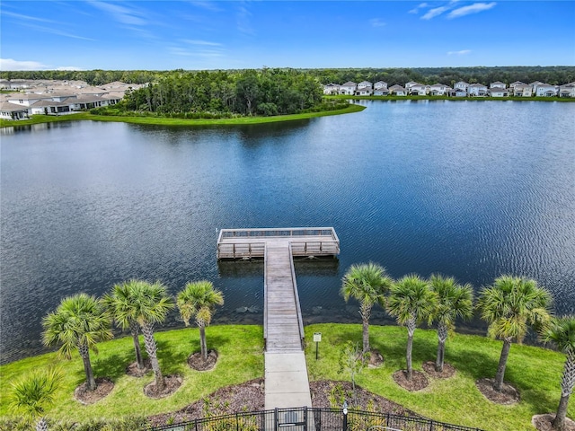 1254 Wispy Cypress Dr, Kissimmee, FL 34746 - photo 59