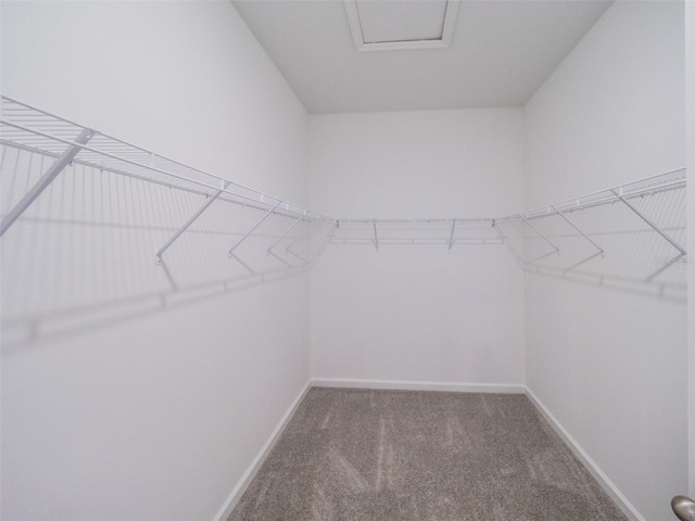 5968 Catamaran Ave, Haines City, FL 33844 - photo 21