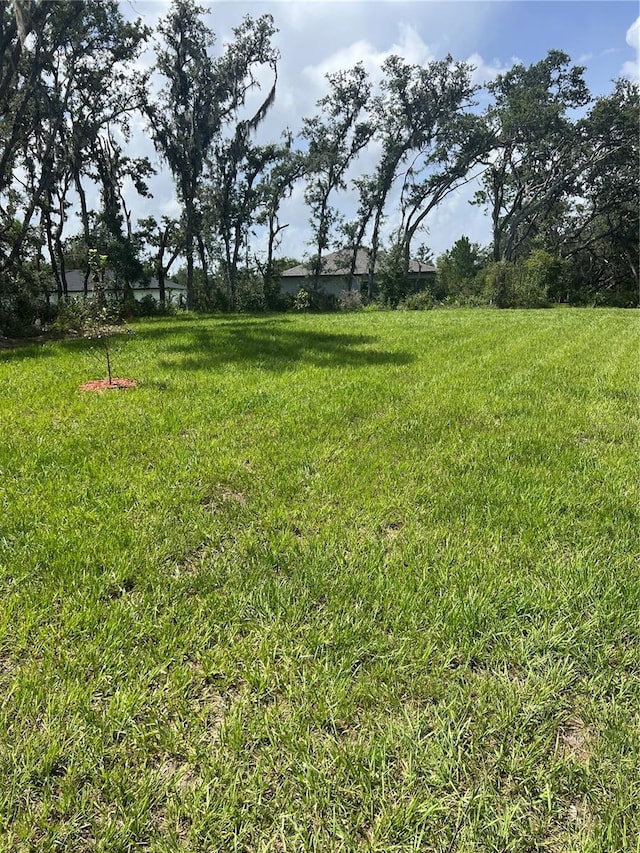 382 Bowfin Dr, Kissimmee, FL 34759 - photo 13