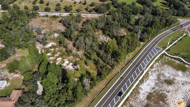 2500 Zuni Rd, Saint Cloud, FL 34771 - photo 4