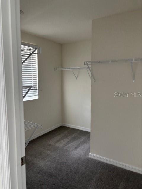 16626 Mosaic Oar Dr, Wimauma, FL 33598 - photo 14