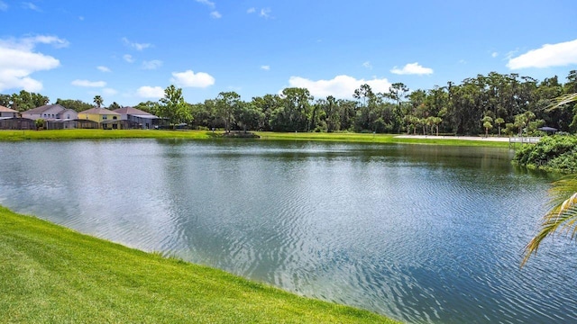 955 Lake Berkley Dr, Kissimmee, FL 34746 - photo 42