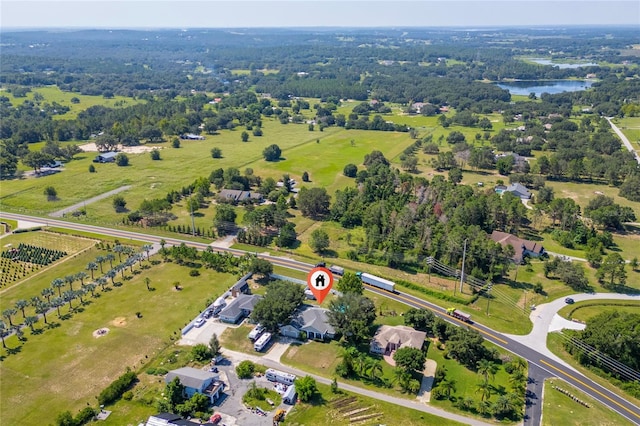 10932 Williams Ave, Howey In The Hills, FL 34737 - photo 50