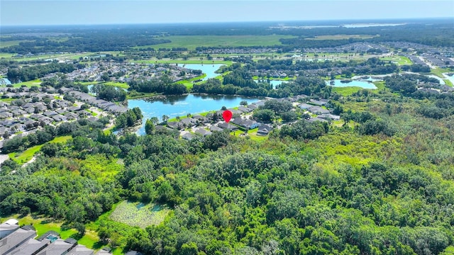 145 Del Sol Ave, Davenport, FL 33837 - photo 14