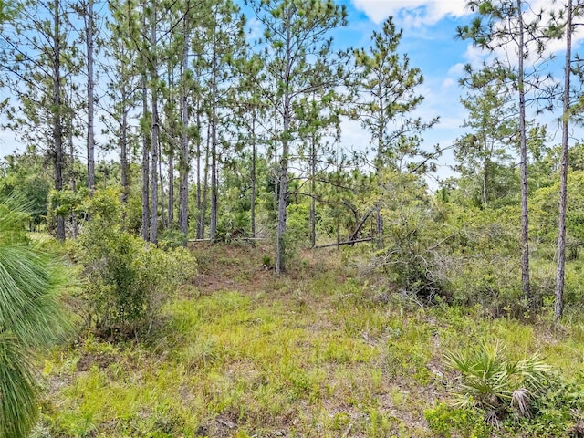 9440 E Irlo Bronson Memorial Hwy, Saint Cloud, FL 34773 - photo 2