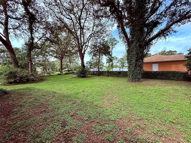 9080 SE 154th Ln, Summerfield, FL 34491 - photo 7