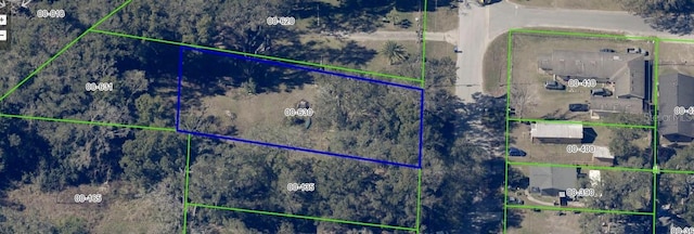 E 10th St, Apopka, FL 32703 - photo 2
