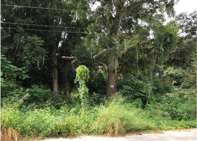 E 10th St, Apopka, FL 32703 - photo 3