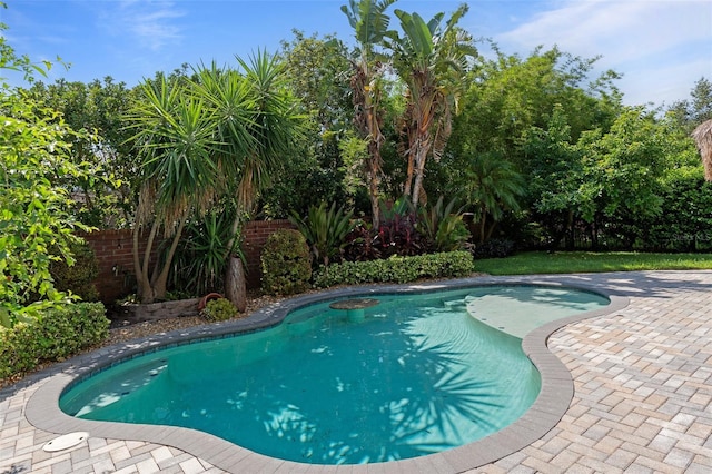 492 Douglas Edward Dr, Ocoee, FL 34761 - photo 44