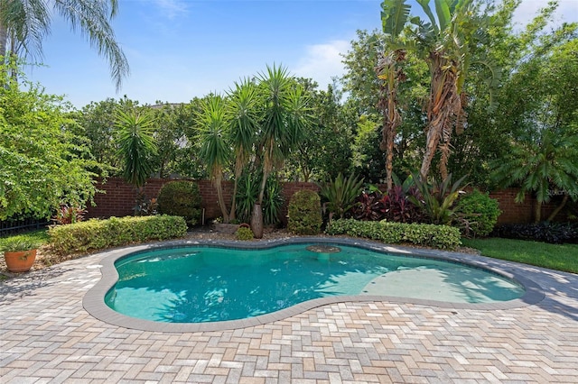 492 Douglas Edward Dr, Ocoee, FL 34761 - photo 45