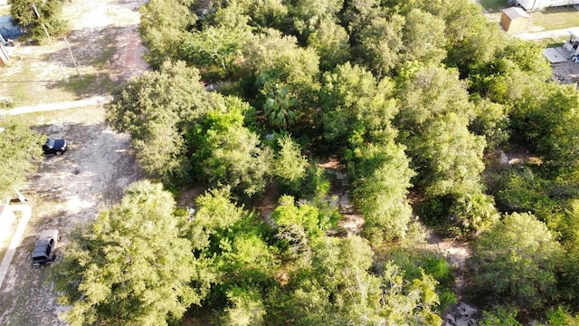 0 Grant Rd, Lake Wales, FL 33898 - photo 3