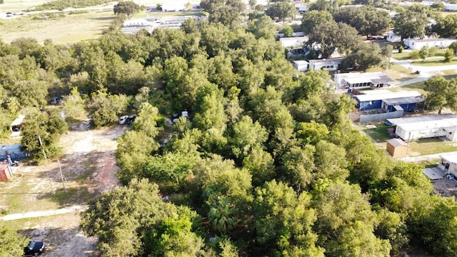 0 Grant Rd, Lake Wales, FL 33898 - photo 4