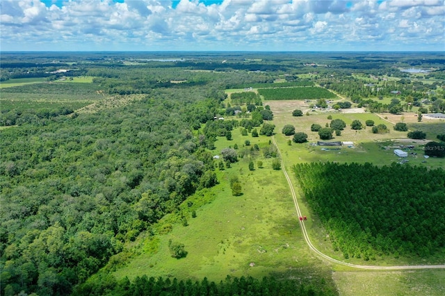 11301 Claytor Rd, Clermont, FL 34714 - photo 3