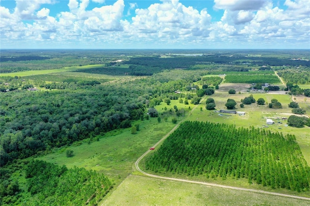 11301 Claytor Rd, Clermont, FL 34714 - photo 4