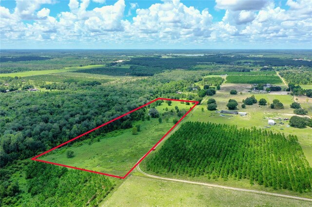 11301 Claytor Rd, Clermont, FL 34714 - photo 5