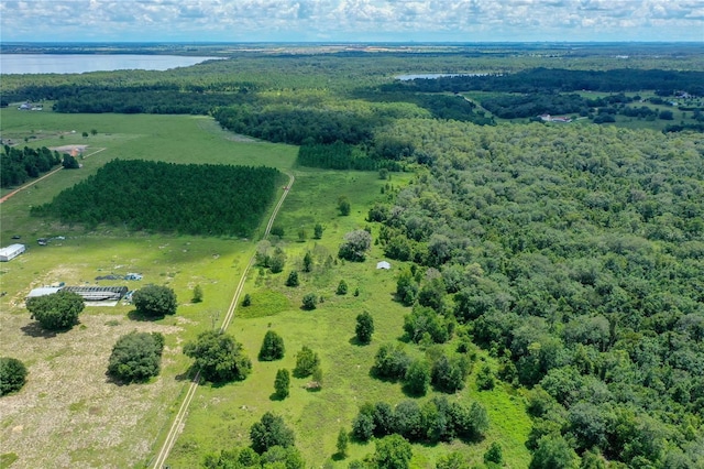 11301 Claytor Rd, Clermont, FL 34714 - photo 10