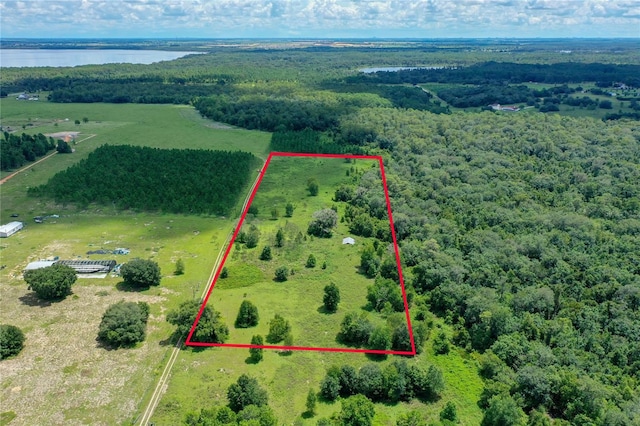11301 Claytor Rd, Clermont, FL 34714 - photo 11