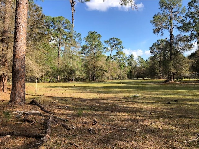 Listing photo 3 for Crystal Springs Rd, Zephyrhills FL 33540