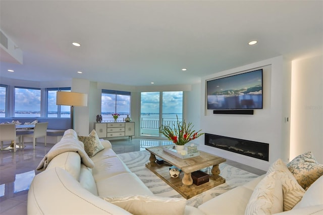 living room with radiator heating unit and a wealth of natural light