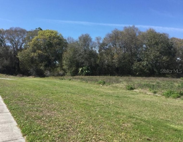 7721 Gunn Hwy, Tampa FL, 33625 land for sale