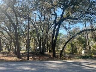 16222 Livingston Ave, Lutz FL, 33559 land for sale