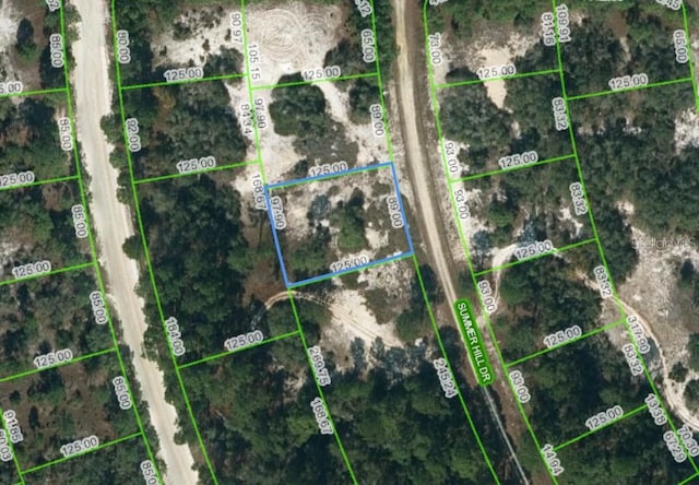 364 Summer Hill Dr, Lake Placid FL, 33852 land for sale