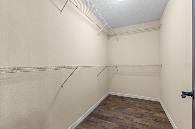 walk in closet with dark hardwood / wood-style flooring