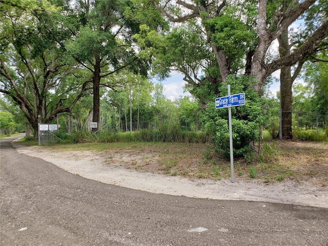 997 Grace Farm Dr, Lutz FL, 33549 land for sale