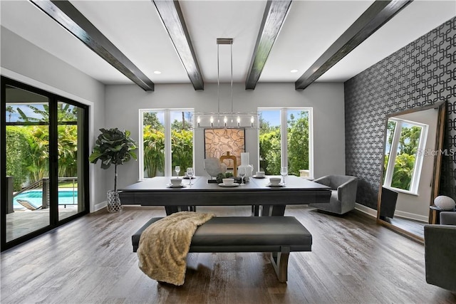 dining area with plenty of natural light and hardwood / wood-style floors