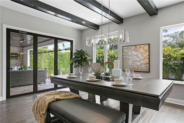 dining area with beam ceiling, wood-type flooring, and a wealth of natural light