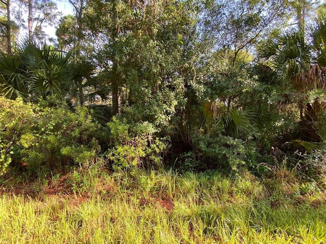 LOT8 Sultan Ave, North Port, FL 34286 - photo 2